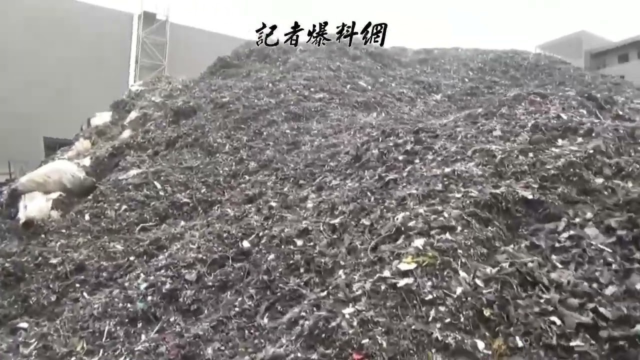 （環保蟑螂片）假承租真棄置　環保蟑螂非法棄置廢棄物逾1萬2千公噸