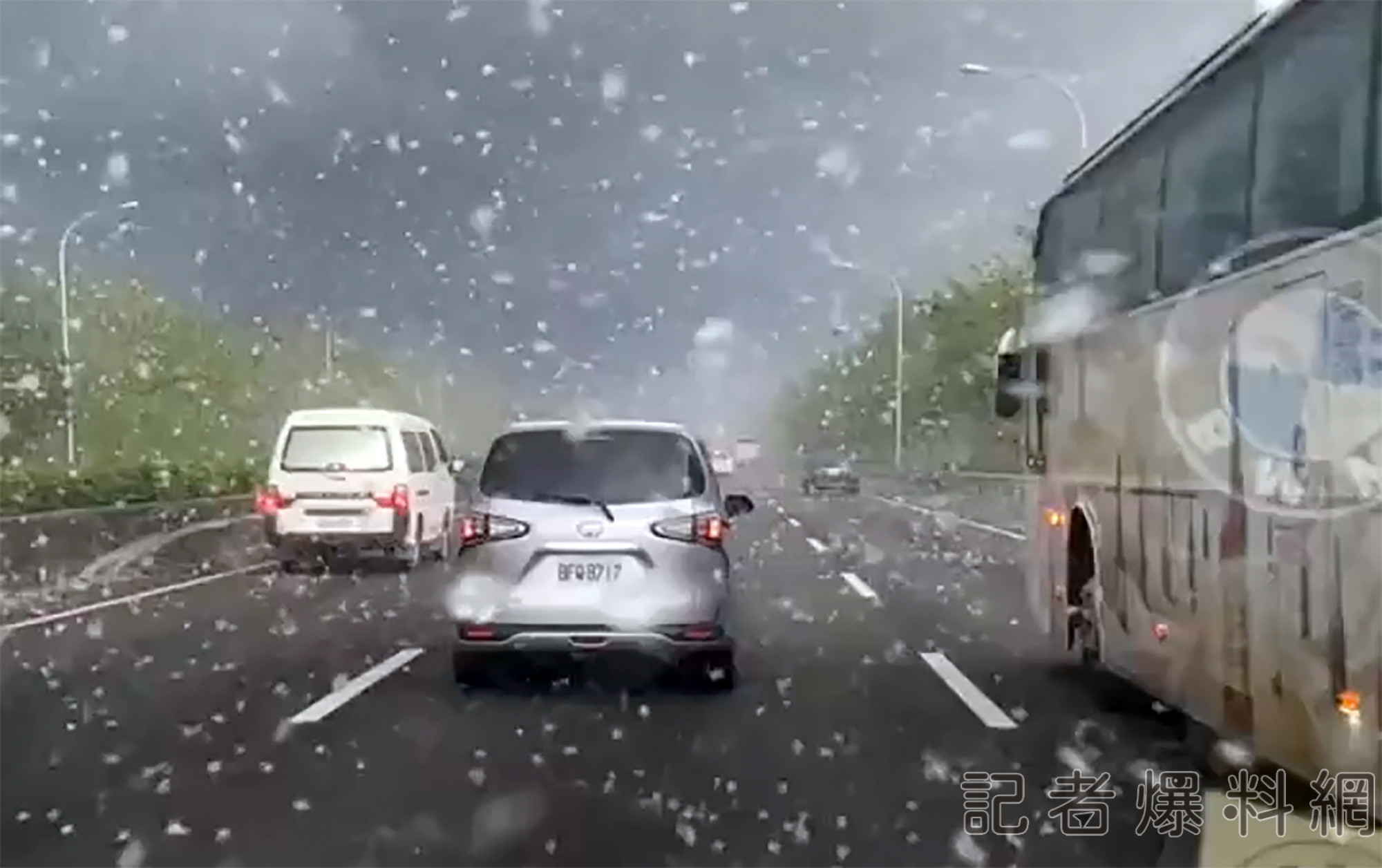 國道迎五月雪？  木棉花棉絮飄散彰化段  警籲保持安全車距