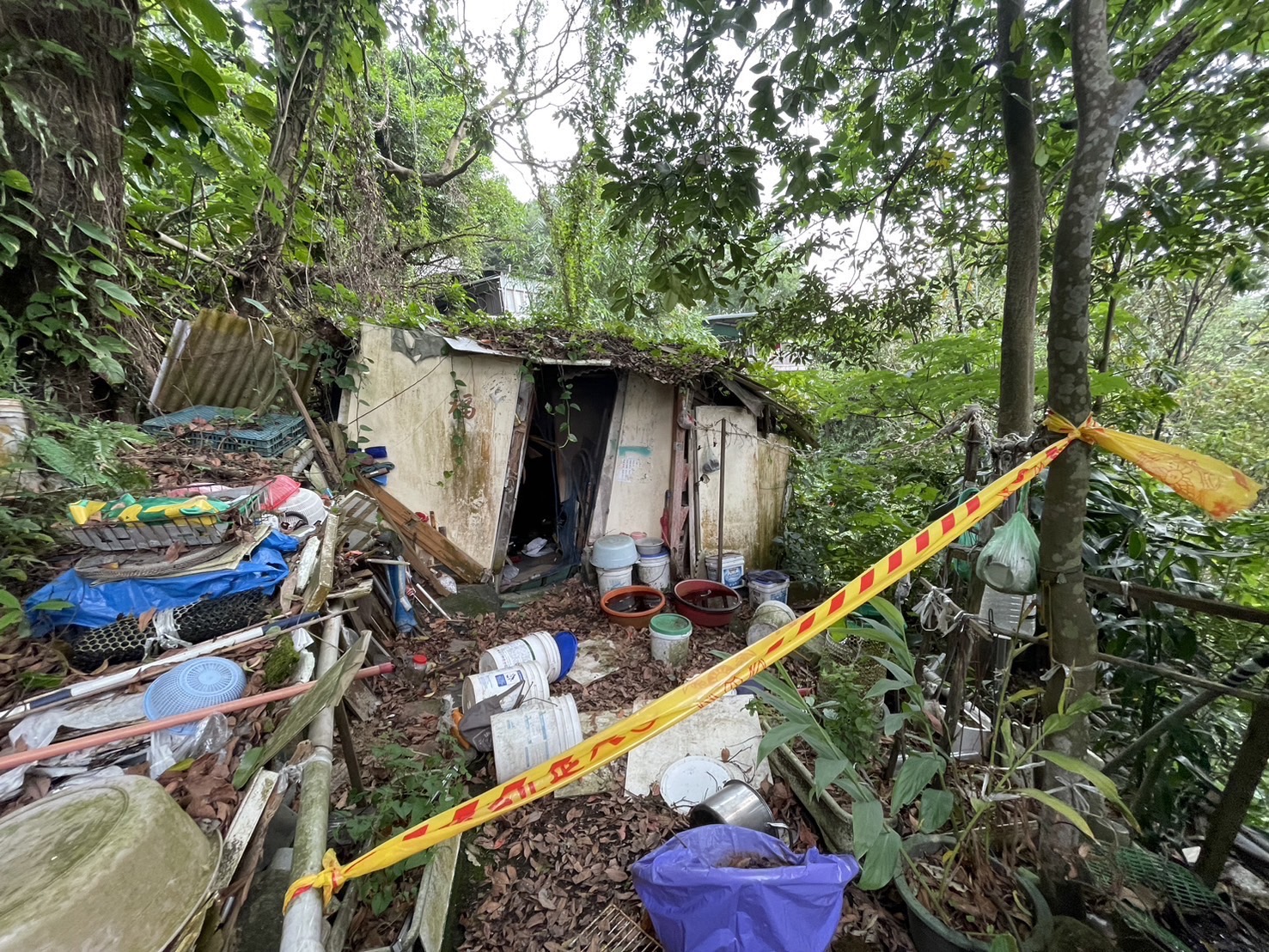 信義區虎山步道工寮驚見白骨　登山民眾嚇壞報警