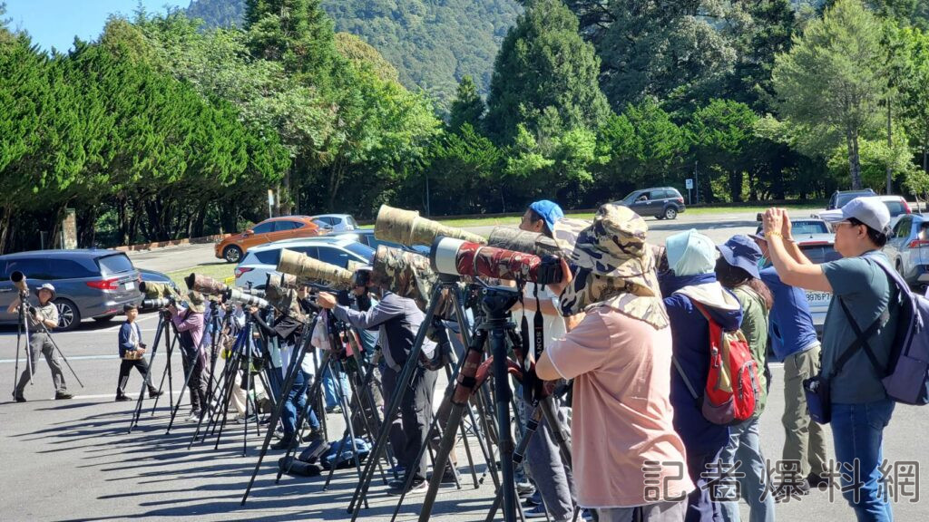 別再餵食誘拍野生鳥類  林業及自然保育署將加強巡查開罰