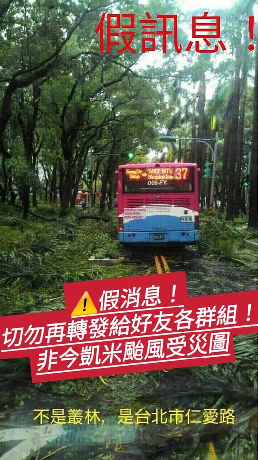 （有片）更新／台北市仁愛路成叢林？　假的！貼照片者遭移送法辦