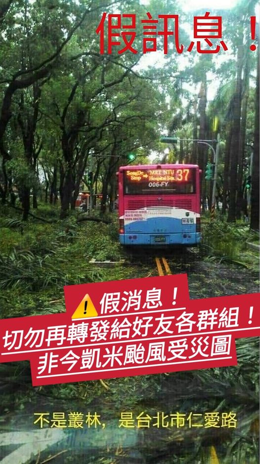 台北市仁愛路成叢林？　假的！貼照片者遭移送法辦