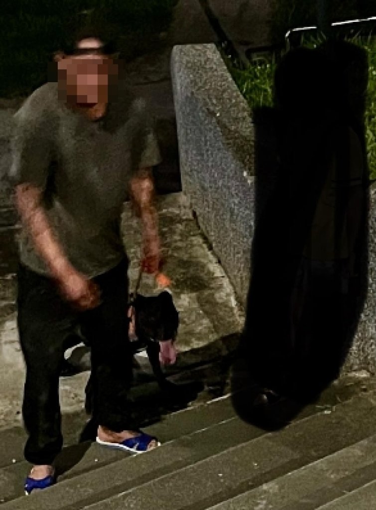 花蓮比特犬未戴嘴套闖禍！-　貴賓狗被咬肚破腸流慘死