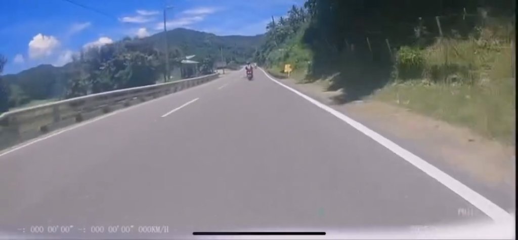 影／真的山道猴！屏東遇猴子穿越馬路　騎士閃避不及撞上摔車破皮