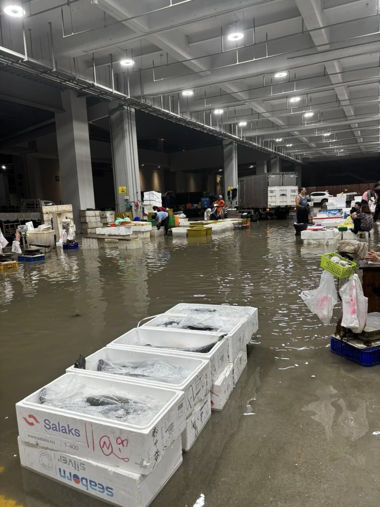 清晨漁市變水鄉　前鎮漁港大淹水　魚販騎車「踩浪」撐生計
