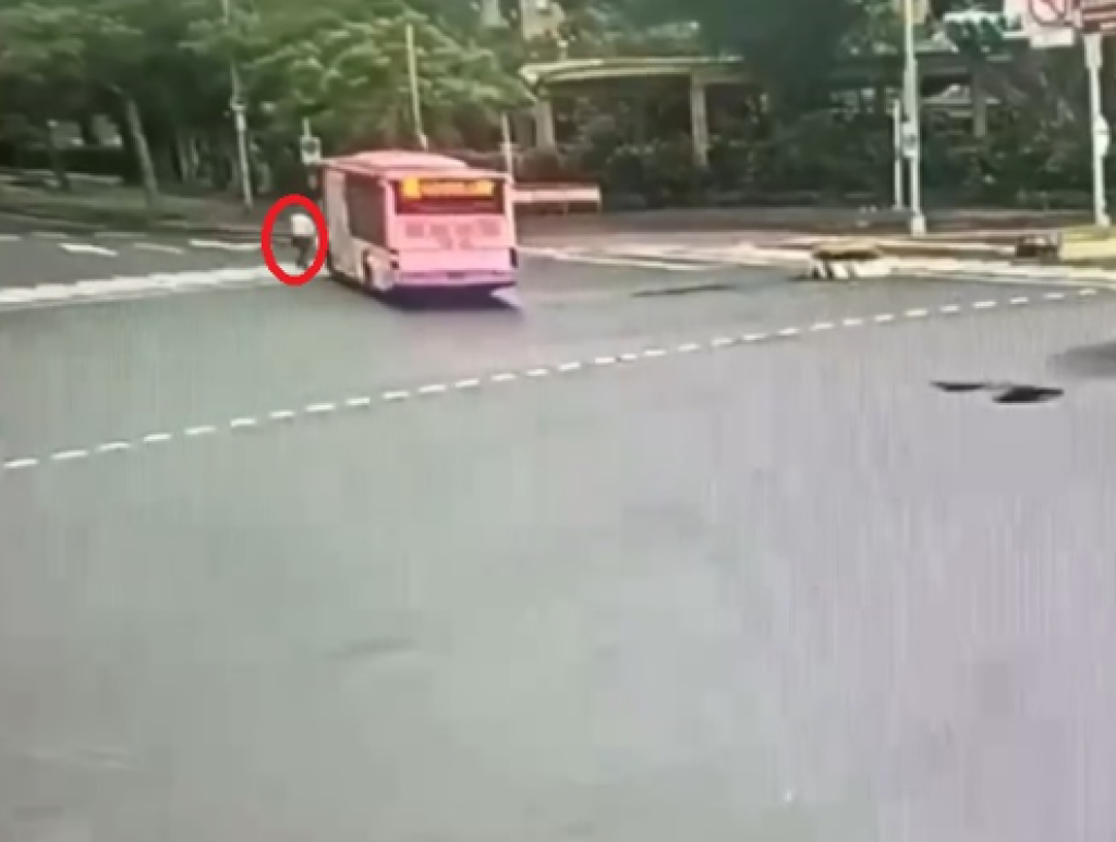 總統官邸附近死亡車禍！　醫師走人行道過馬路遭公車撞死