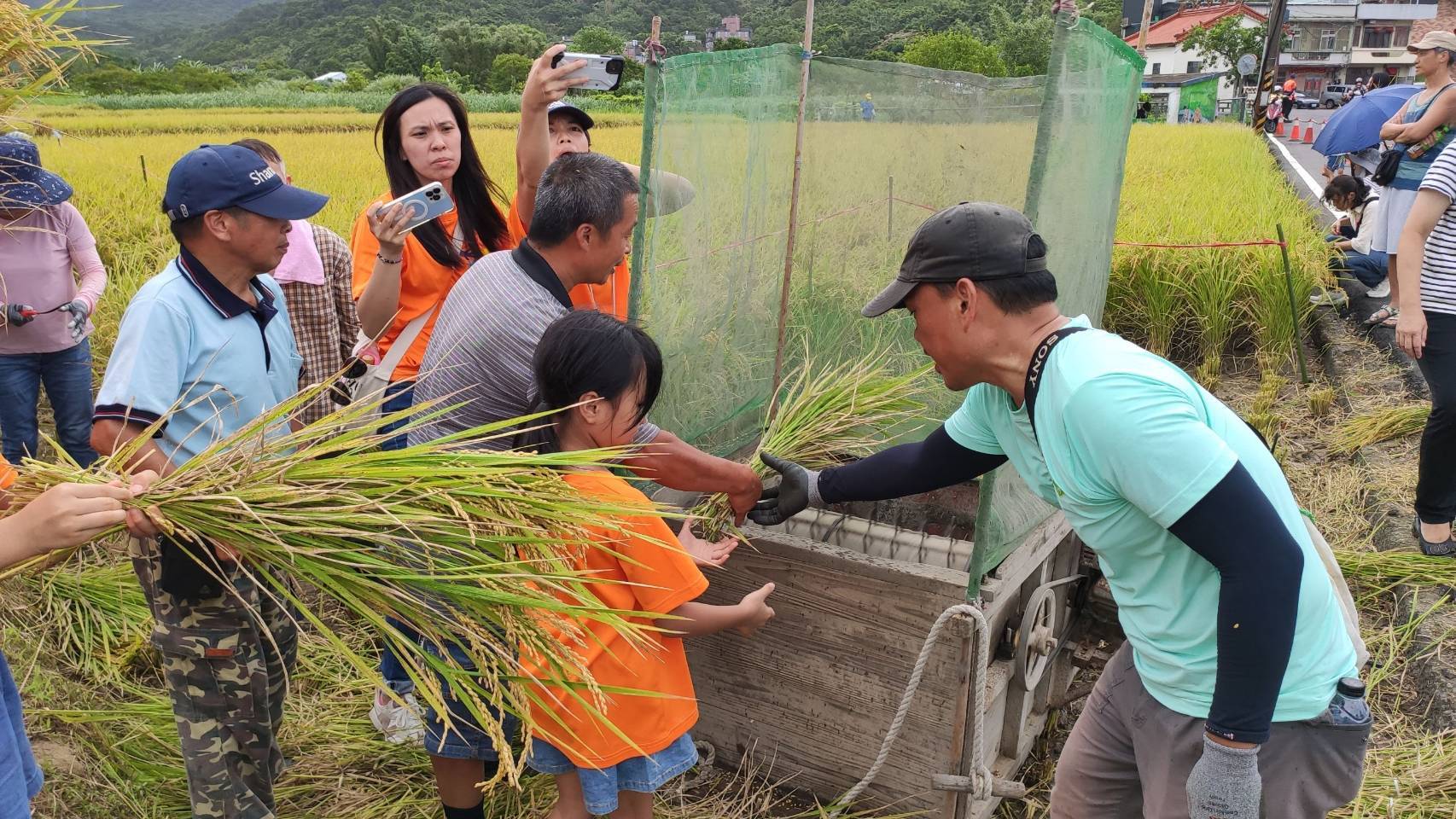 友善耕作修復農地-「作伙來割稻」體驗收割喜悅
