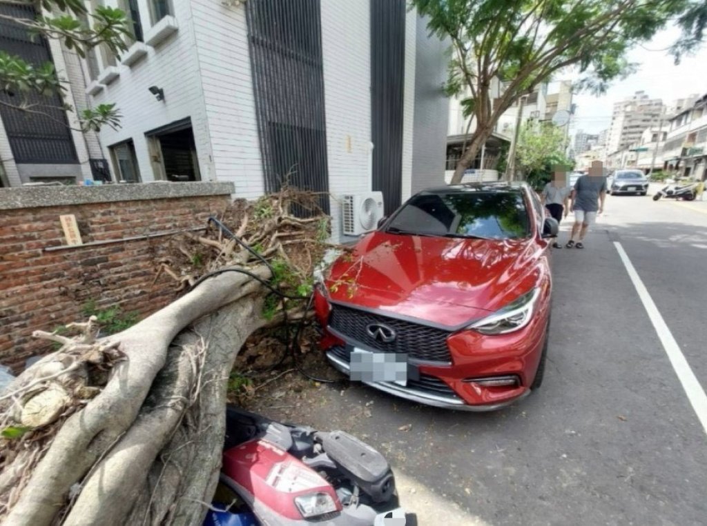 砰！台中北屯區路樹猛然倒塌 3汽機車慘遭波及