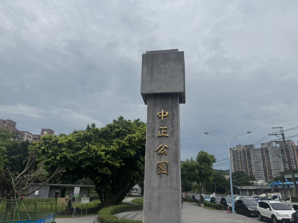 龜山中正公園醉漢隨機攻擊10歲男童！　警民合力壓制逮捕