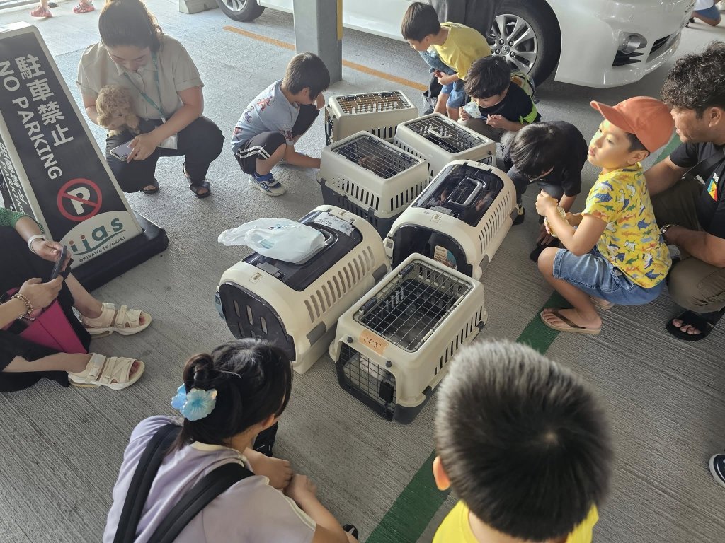 遊沖繩水族館海嘯警報突響-人、動物急被疏散到5樓停車場