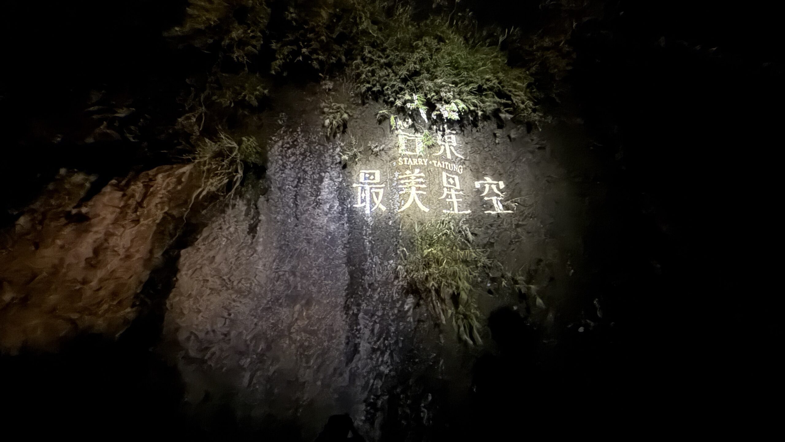 在星光下聆聽長濱-用音樂點亮地方創生療癒新光點