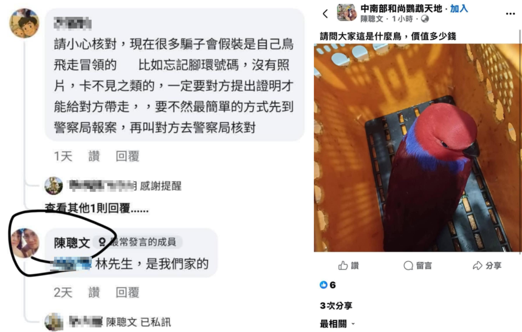 爆料／假冒失主領鳥！慣犯冒領鸚鵡轉賣-鳥友肉搜揭露惡行