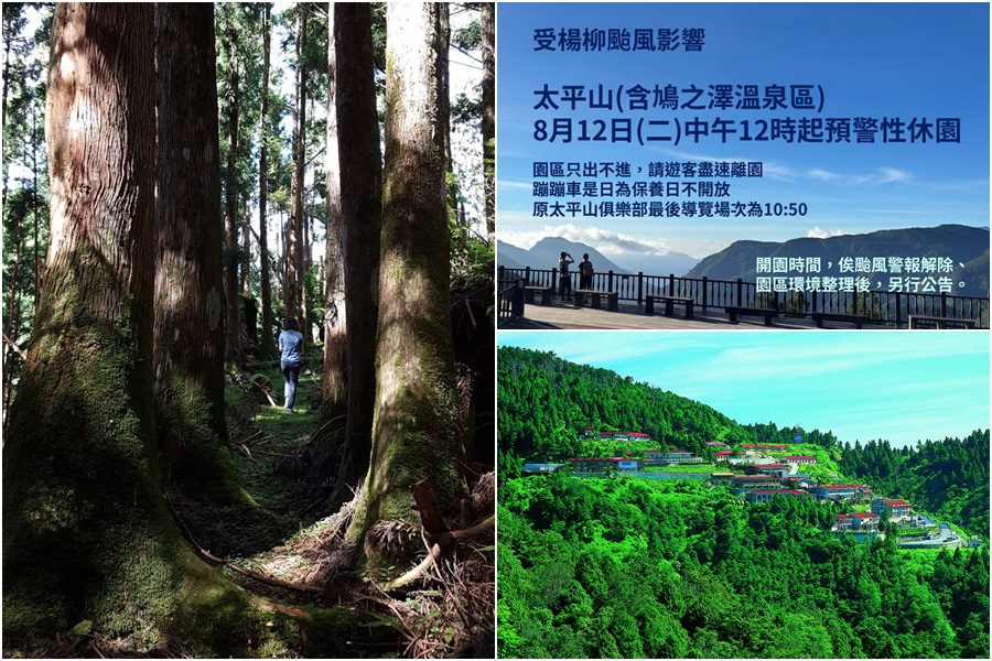 因應楊柳颱風來襲-太平山及自然步道8/12中午起休園及封閉