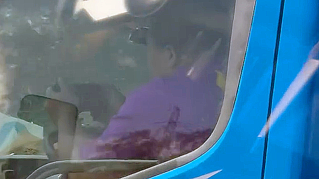 國道貨車司機邊開車邊玩手機  網「好玩到命都不要？」