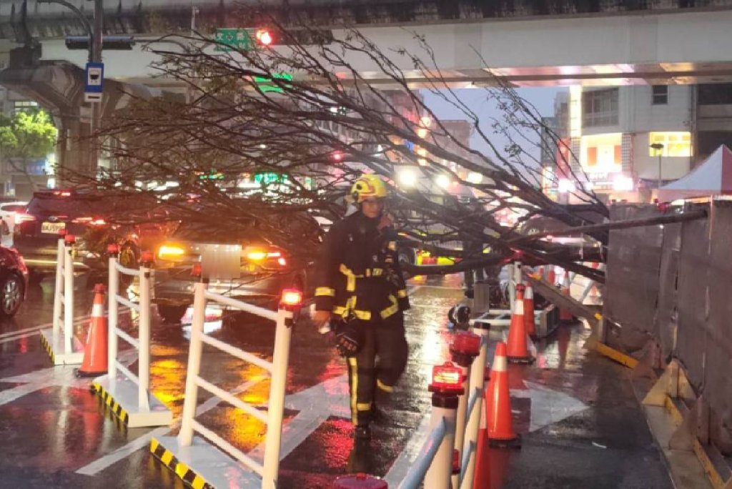台中雷雨交加路樹倒塌壓車　機車騎士閃避不及自摔