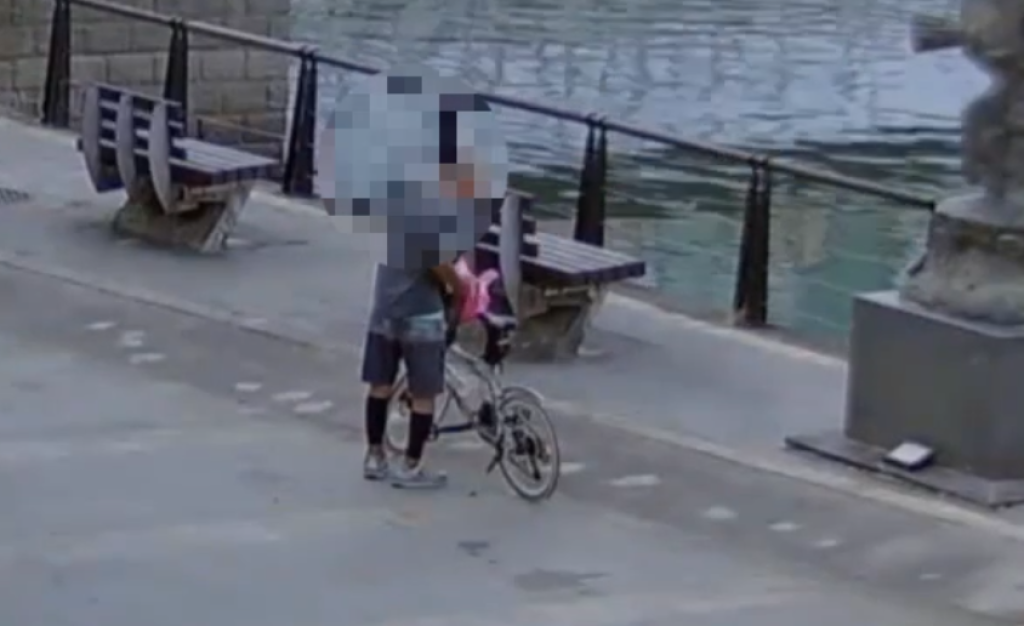又是他！淡水街友虐殺浪又虐貓　警方拘提到案移送遭羈押