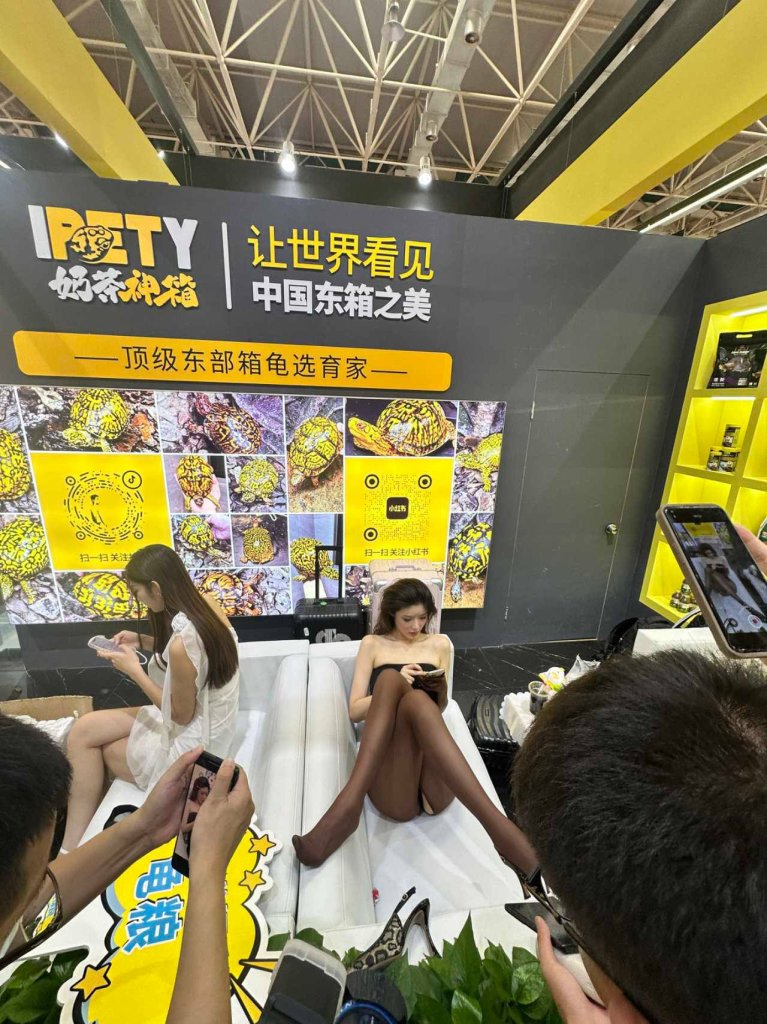 影／烏龜展找多位辣妹大尺度表演！黑絲女網紅身分疑曝光　抖音有211萬粉絲