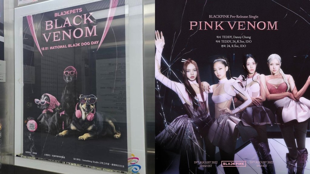 獨／新創？抄襲？高雄動保處「世界黑狗日海報」遭疑雷同BLACKPINK