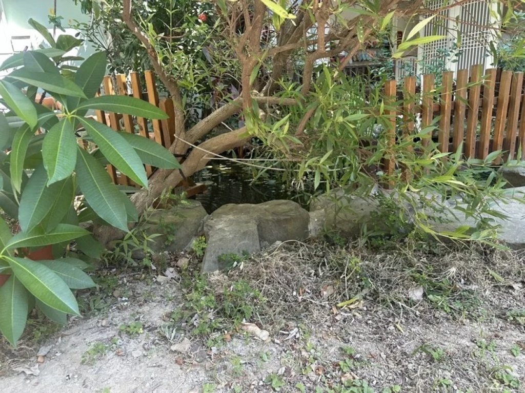 竹北幼兒園1歲女童墜生態池溺斃　老師20分鐘後才發現…