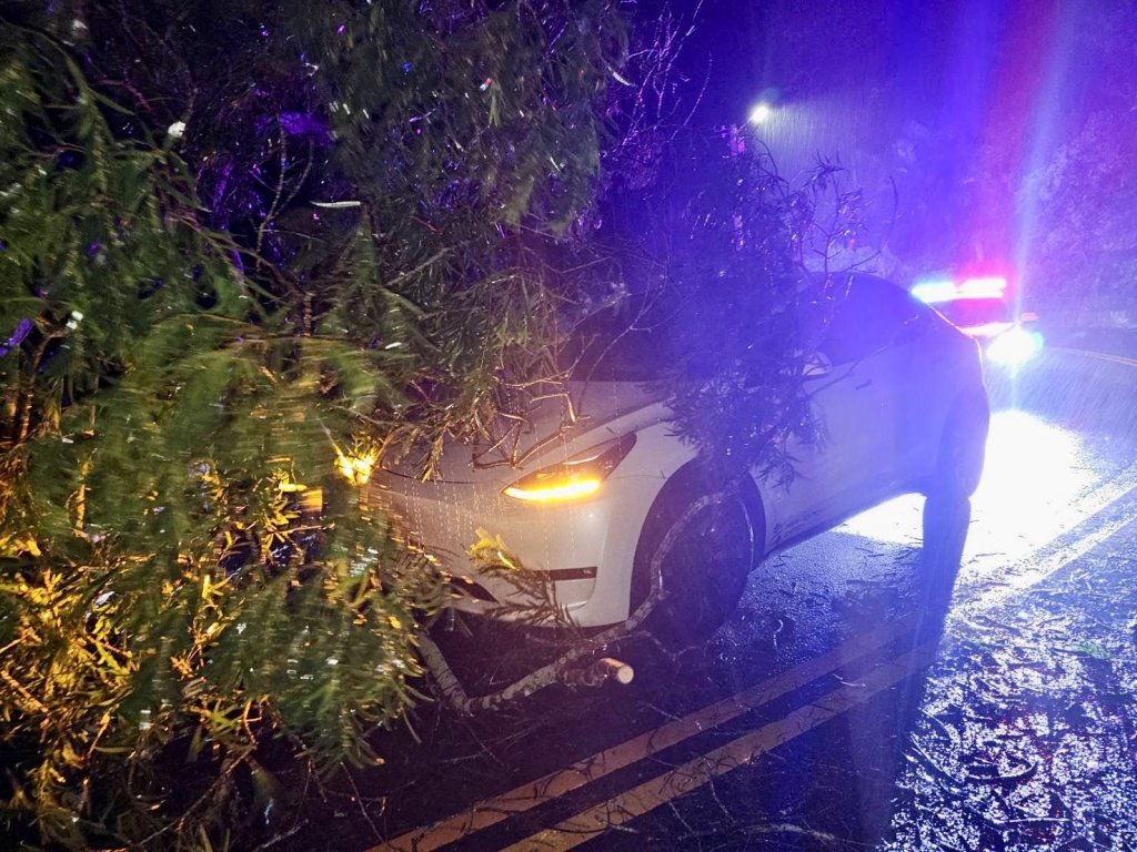 苗130線強風吹倒路樹砸車　警方交管聯絡排除障礙