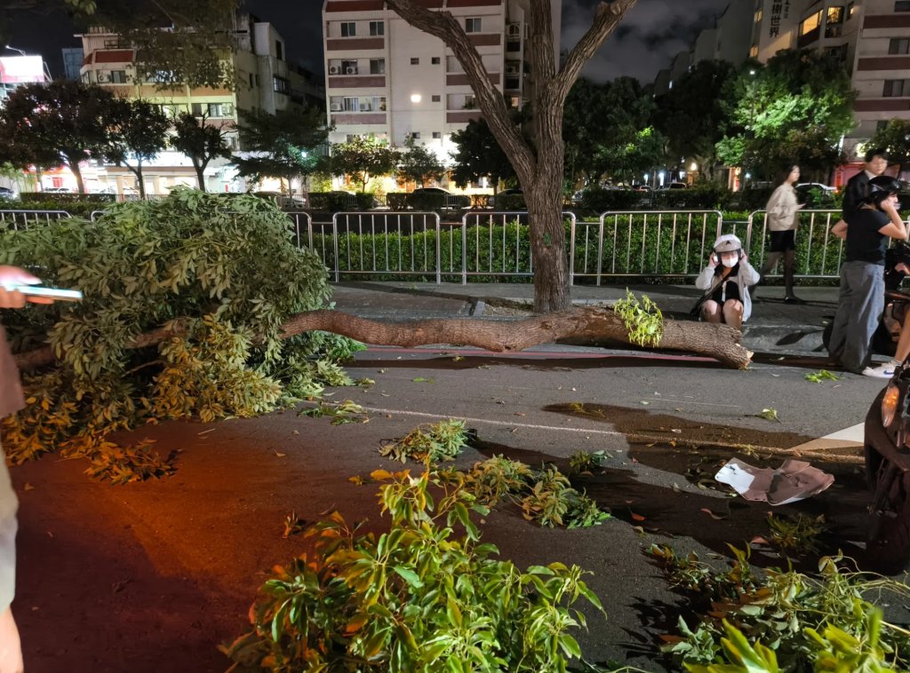 台中強陣風吹倒大樹砸傷機車騎士！忠明南路驚險畫面網瘋傳：颱風等級