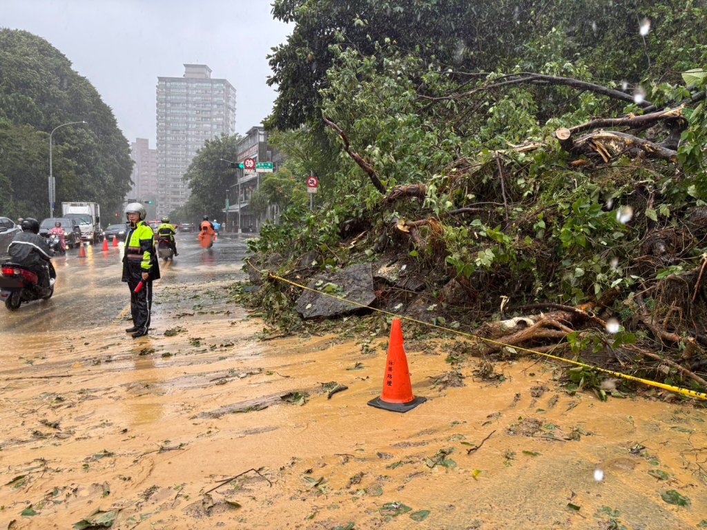 雨彈狂襲！汐止康寧街邊坡坍塌路樹倒　警封閉2車道清晨急撤離2戶6居民