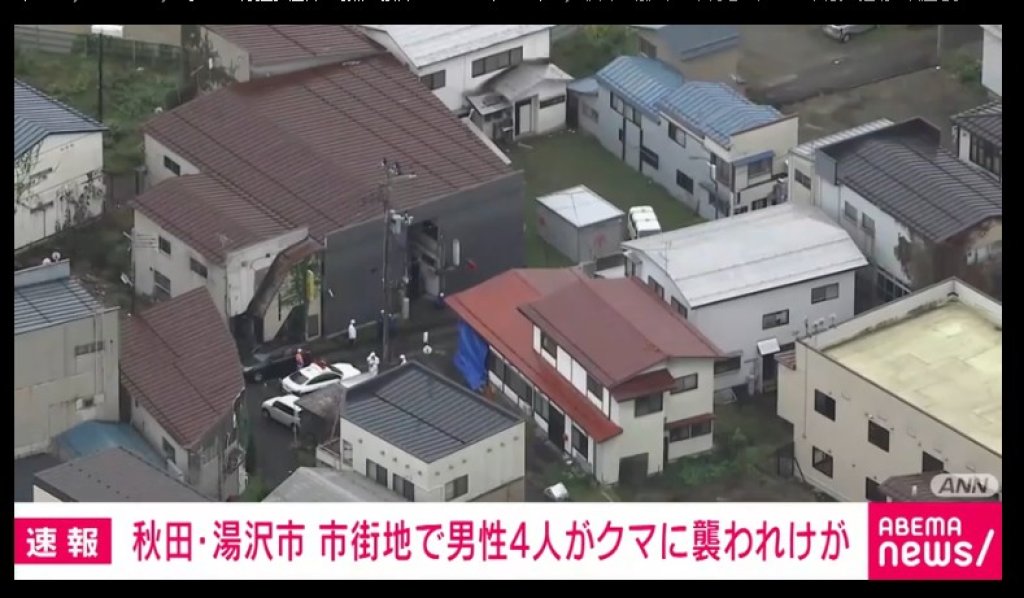 日本熊出沒進入「新階段」！熊闖民宅、襲人奪命　專家警告：牠們已學會人類不可怕