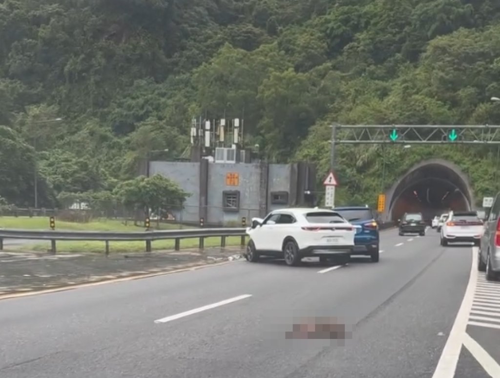 國道5號撞到猴子發生車禍？　國道警方說明了