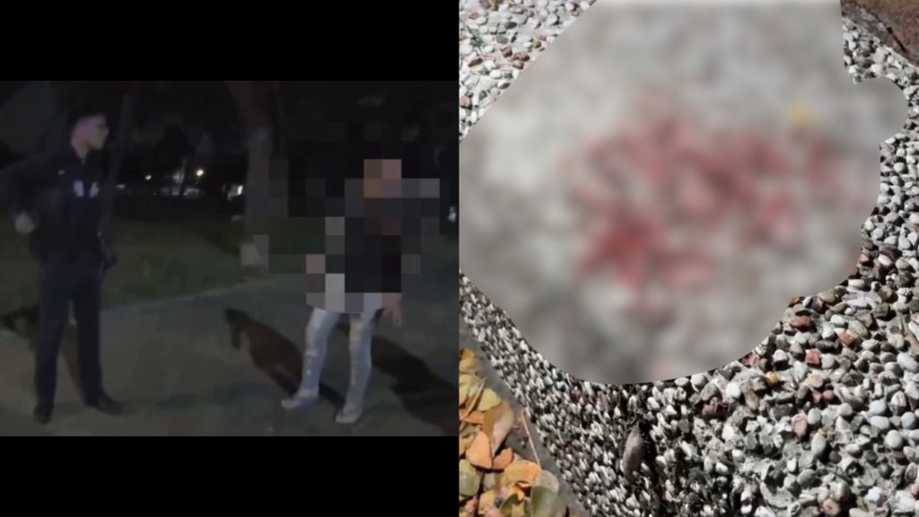 快訊／折疊刀傷3人！高雄深夜3打3「地板留血跡」