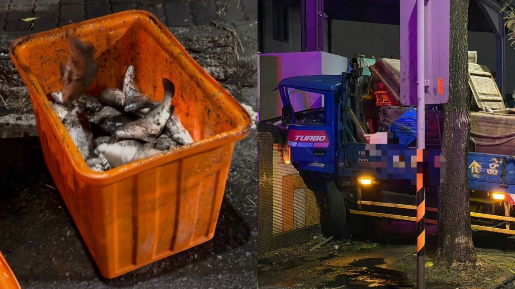 眼前一片黑！冷凍公司員工駕車撞「同行」圍牆　車上鱸魚噴飛命危