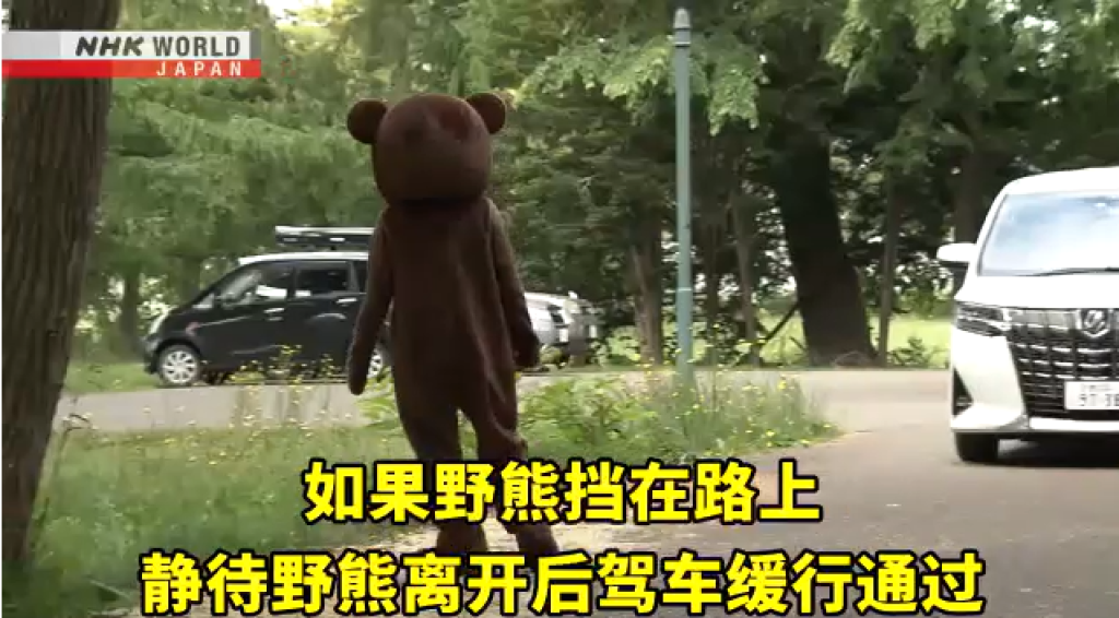 日本熊害頻傳！自駕旅客遇熊別驚慌-nhk教你正確自保
