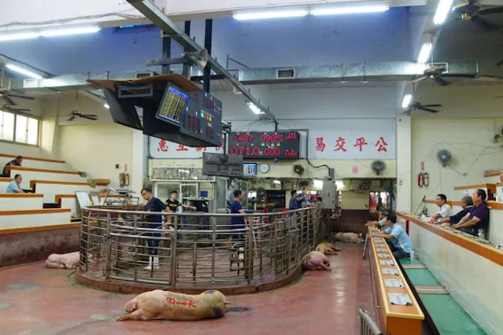 非洲豬瘟解禁!彰化肉品市場提早開市首日限量2400頭 嚴守清消防疫不鬆懈