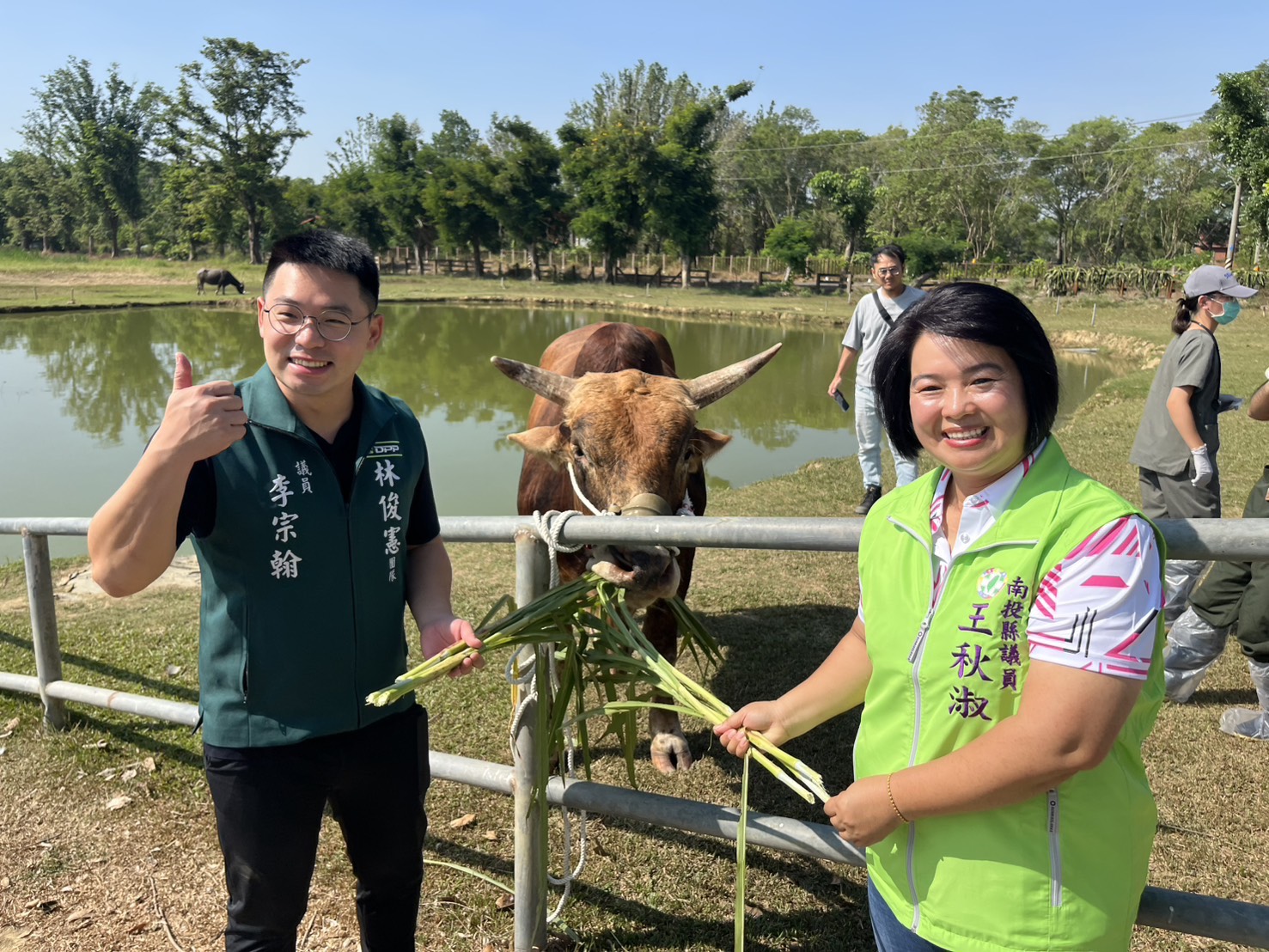 疑遭受虐南投牛入籍台南 議員跨縣市共同撫養