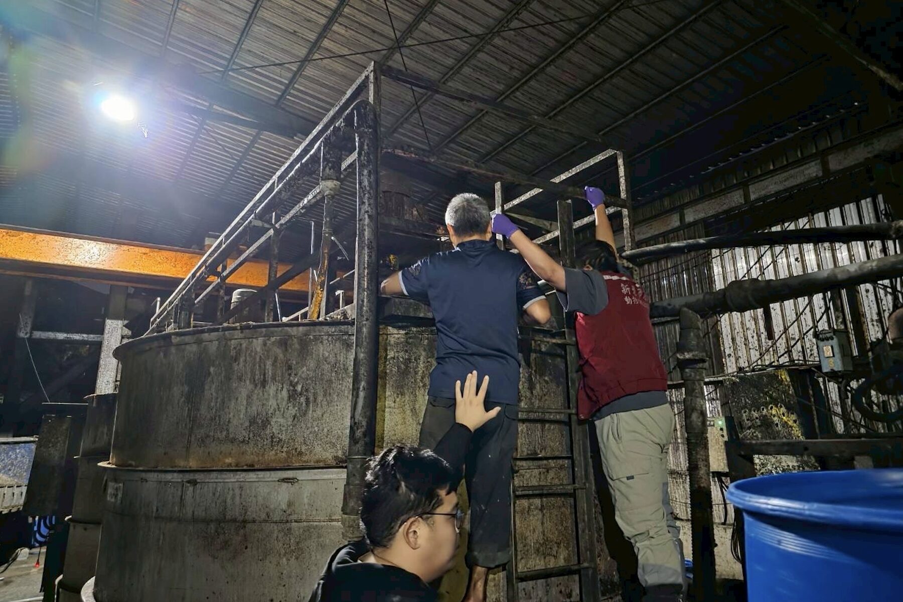 新北養豬場遭重罰百萬 違規餵食廚餘 補助全數取消得不償失