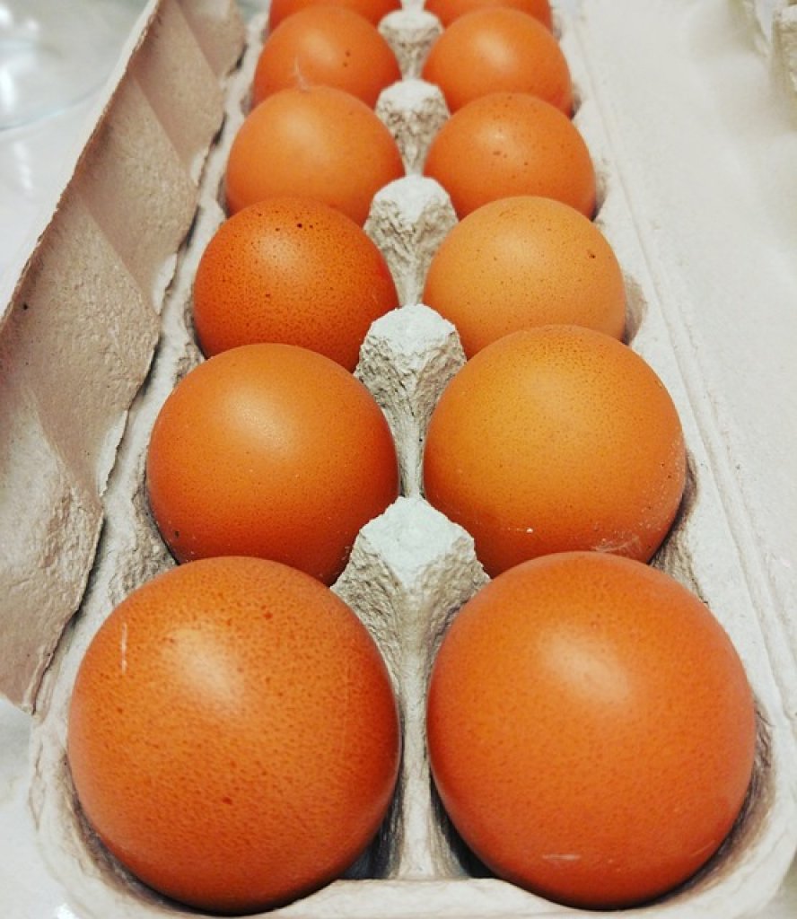 彰化「芬普尼蛋」再延燒！龍忠蛋行負責人20萬交保