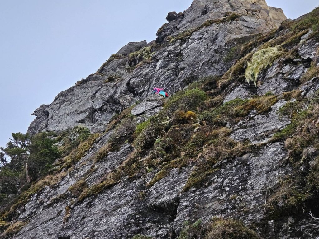 登山變「命懸一線」!女山友受困關山岩壁 空、地上演山難大營救