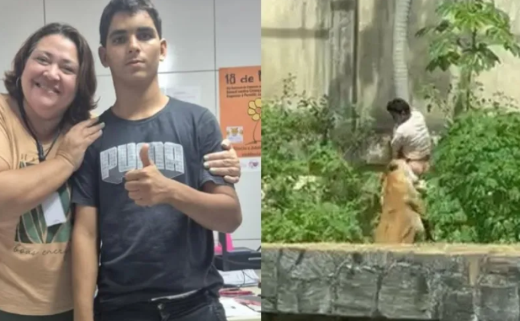 影／巴西19歲男闖動物園！爬樹進入獅子區「慘遭咬死」　遊園民眾嚇壞