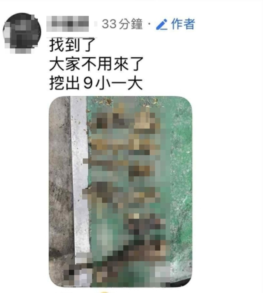 台北信義區驚傳疑似恐佈虐貓！女子丟棄兩袋貓屍　12隻貓疑慘遭毒手