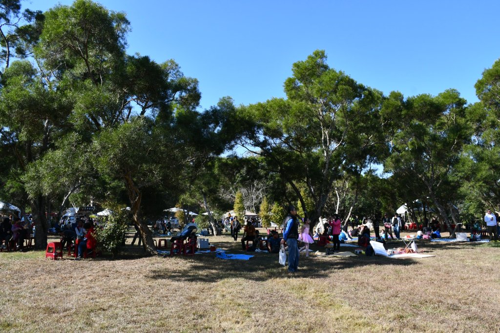 彰市香山野餐享聽音樂、嚐美食、品咖啡 600人享親子之樂