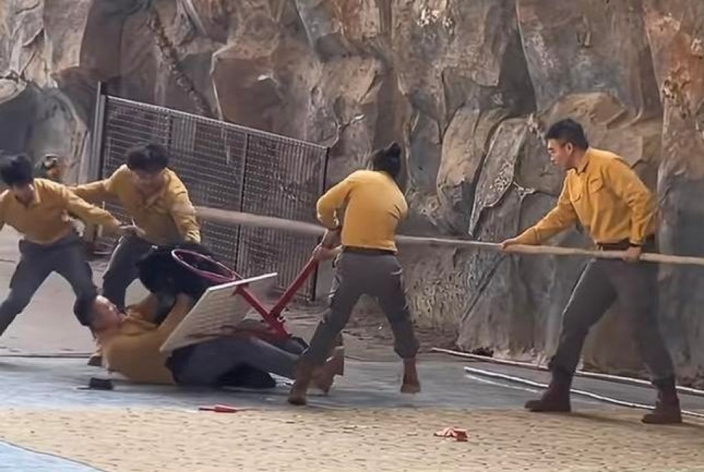 影/陸動物園黑熊演出時突襲擊飼養員!5人拉扯制伏帶往後台 園方解釋「搶吃袋中胡蘿蔔」