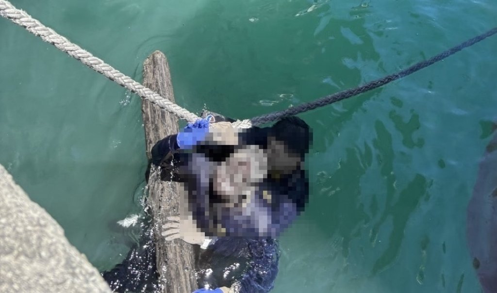 幕後／高雄16槍殺案傳意外！鑑識中心主任落海　頭撞破「滿臉血」送醫