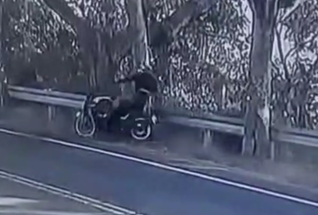 又是彰化139線！　大型重機彎道撞路樹騎士險喪命