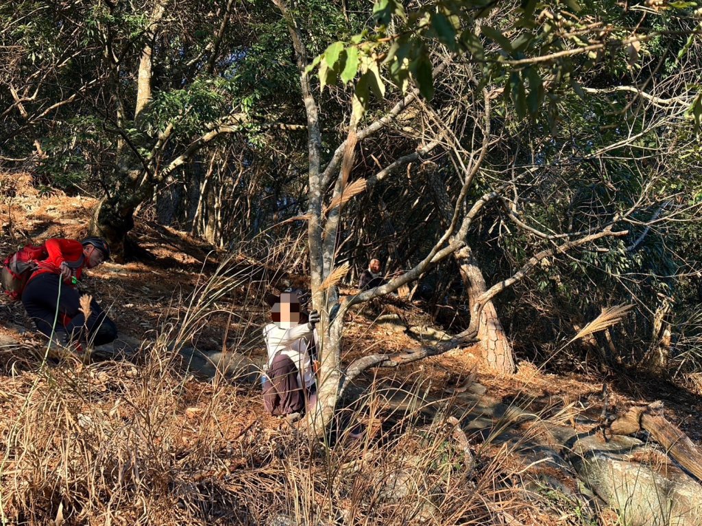 驚險! 69歲婦滑落步道下方30米邊坡 幸被樹卡住獲救