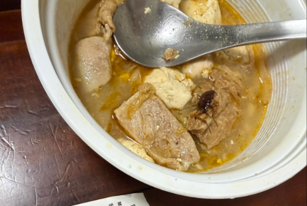 影／林聰明沙鍋魚頭有蟑螂！苦主崩潰「快吐了」　業者發聲明致歉