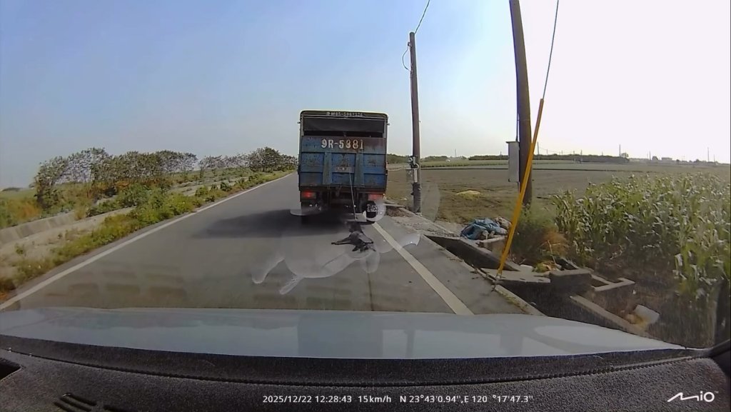 影／狗狗遭小貨車拖行！飼主疑沒注意繼續開　路過駕駛追上提醒已來不及