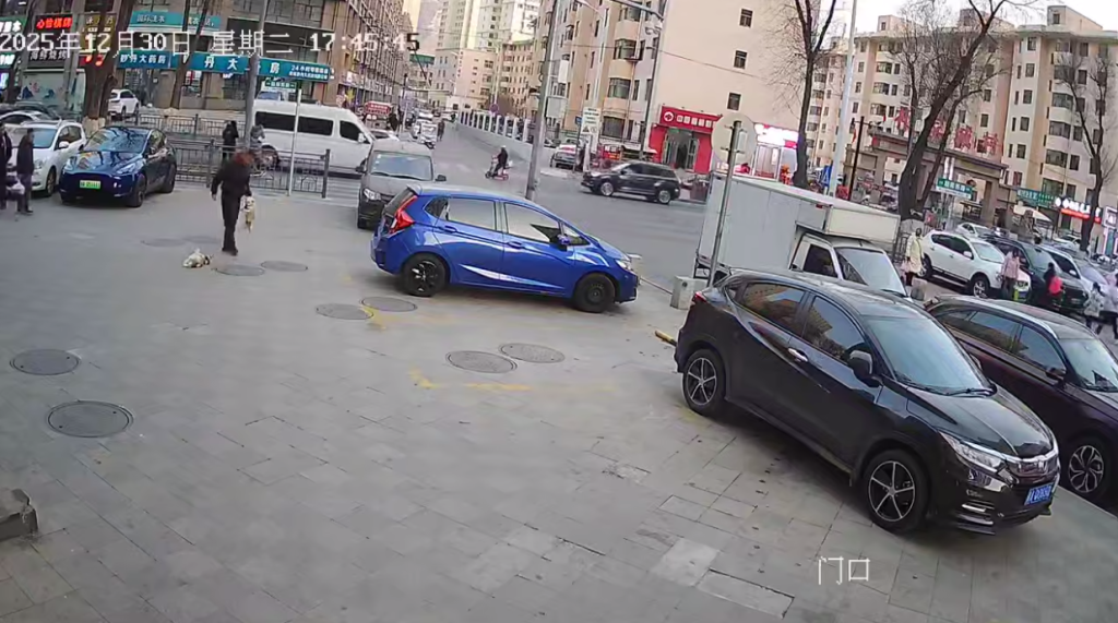 影/自家母狗發情被硬上!陸男爆氣抓起流浪狗重摔狠踹 影片網路瘋傳