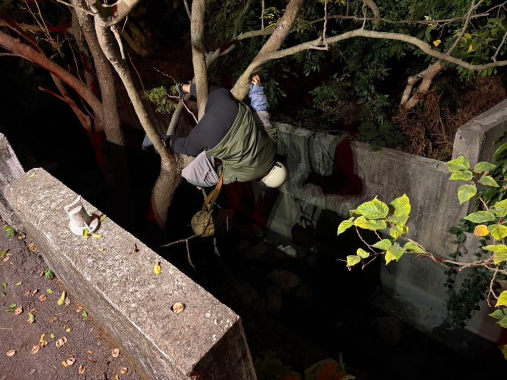 深夜一摔差點沒命！彰化大村女騎士噴飛墜圳溝　倒掛樹幹嚇壞人