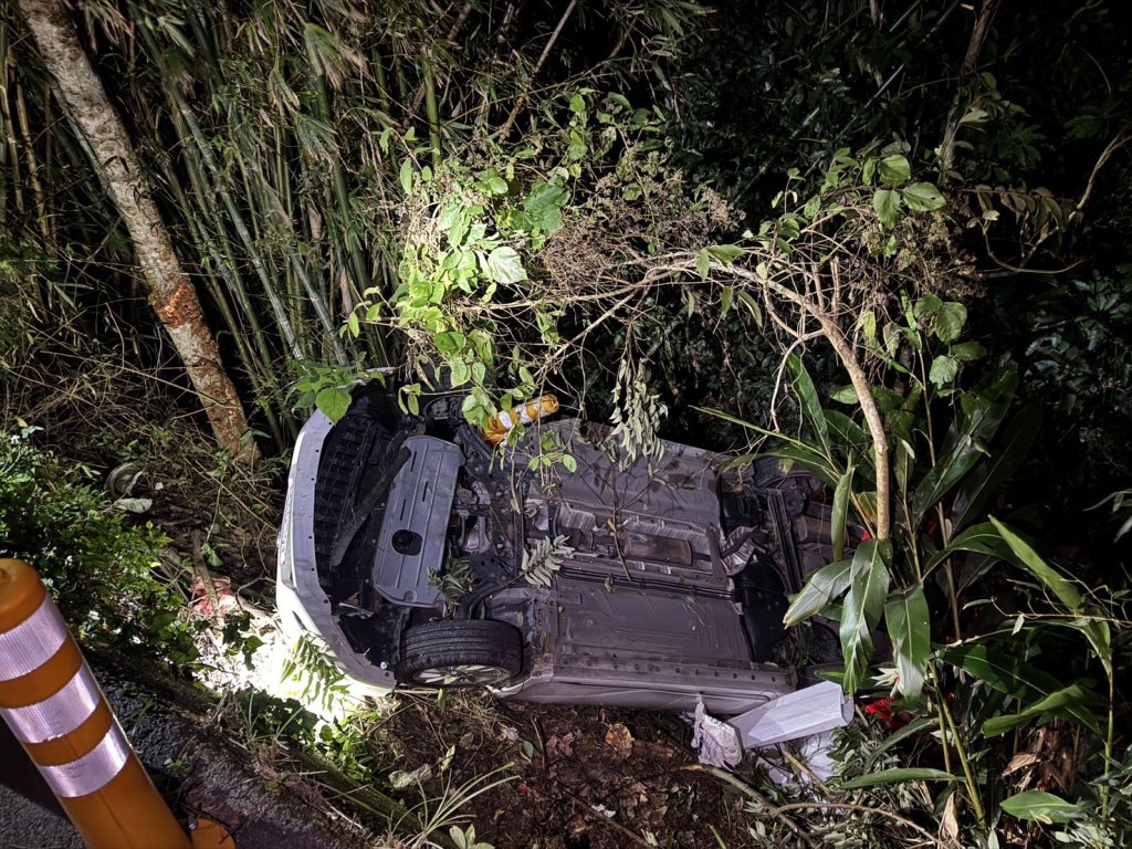 影/愛犬暴斃引爆復仇夜!苗栗恐怖情人互控縱火、追車衝撞 雙雙送醫又吃官司