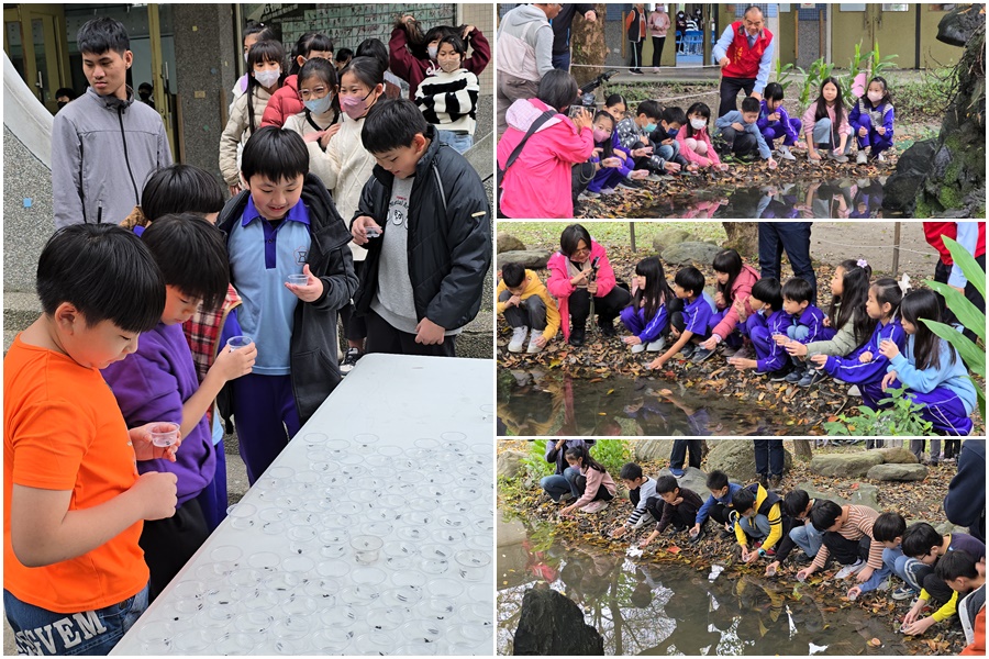 影音/再次野放螢火蟲幼蟲-期待五結夜晚更加亮晶晶