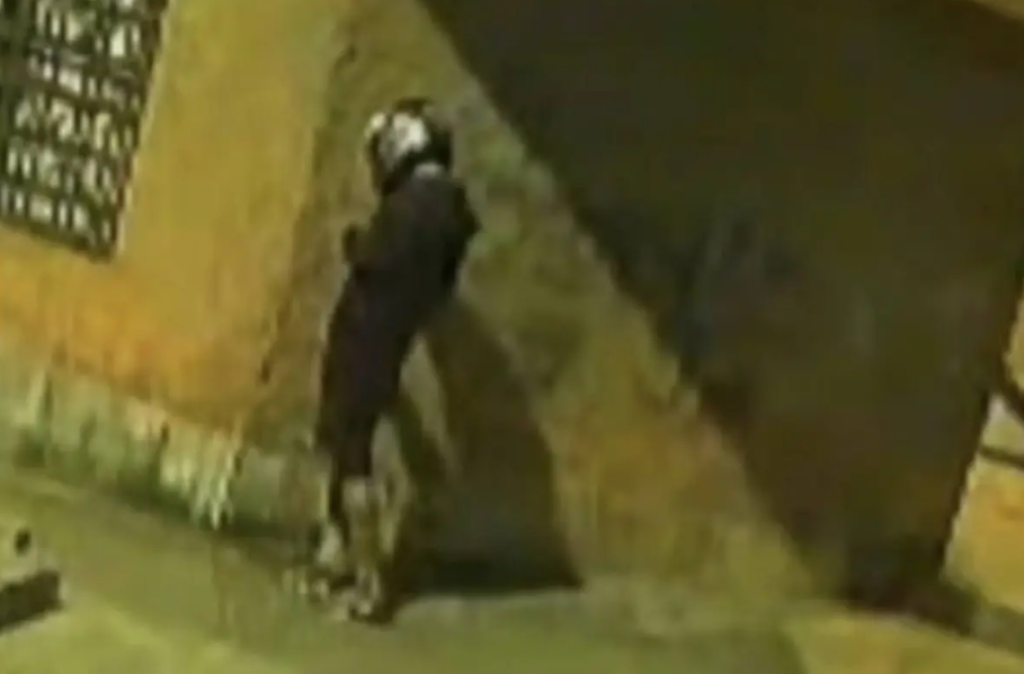 影／裝炸彈出包！祕魯18歲勒索犯恐嚇店家　設置途中「不慎自爆身亡」　